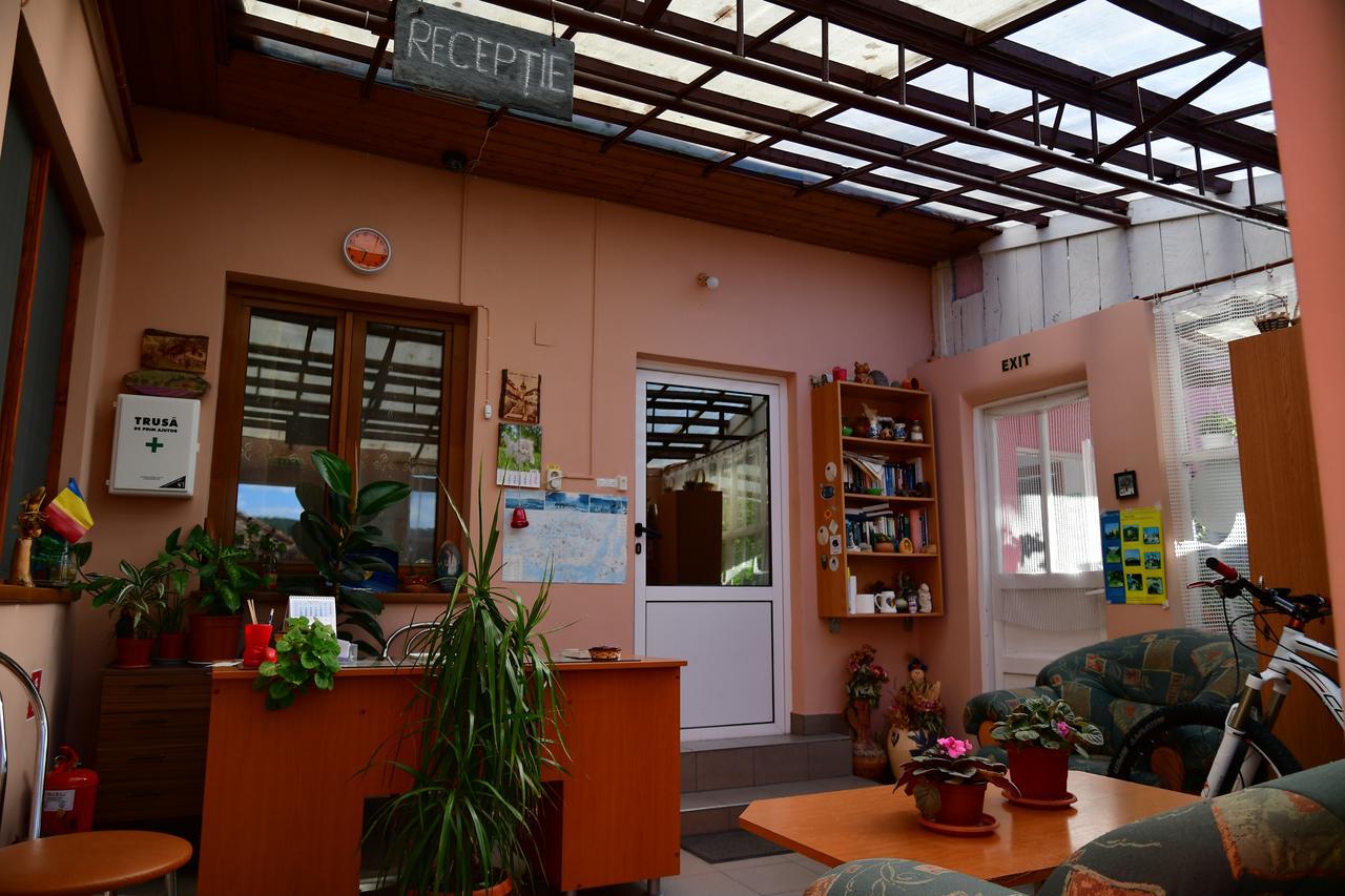 朋斯尼亚克里斯蒂娜帕维尔酒店 锡吉什瓦拉 外观 照片